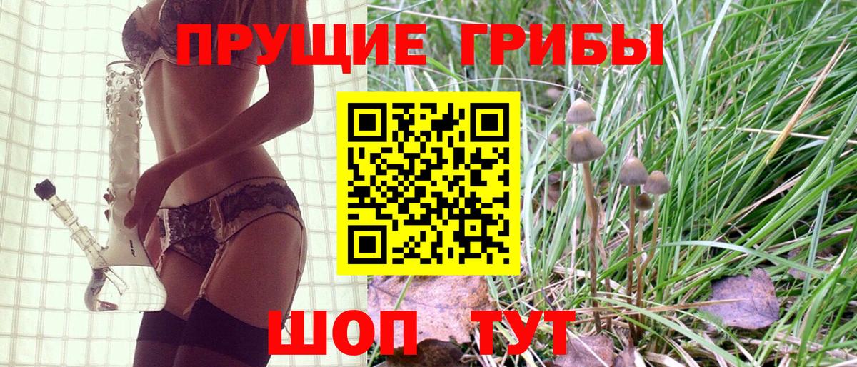 Псилоцибиновые грибы GOLDEN TEACHER Ярцево